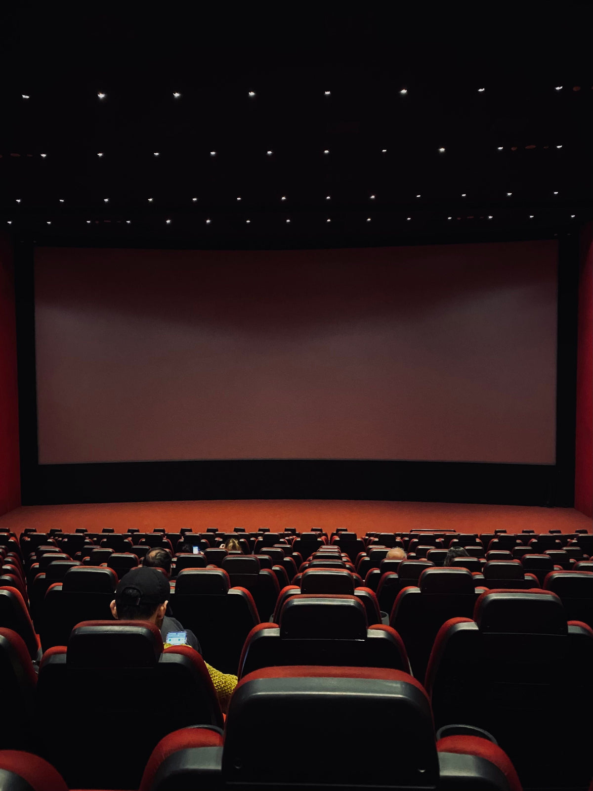 An empty cinema hall with rows of red seats facing a blank movie screen