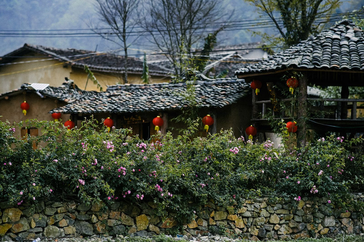 Traditional Chinese village with red lanterns, blossoming flowers, and rustic stone walls