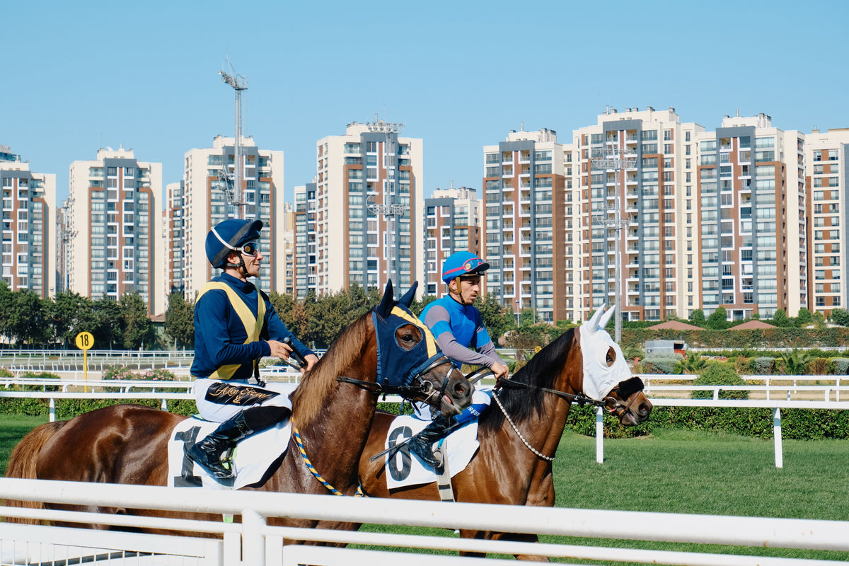 Jockeys racing horses on a turf track with a city skyline in the background