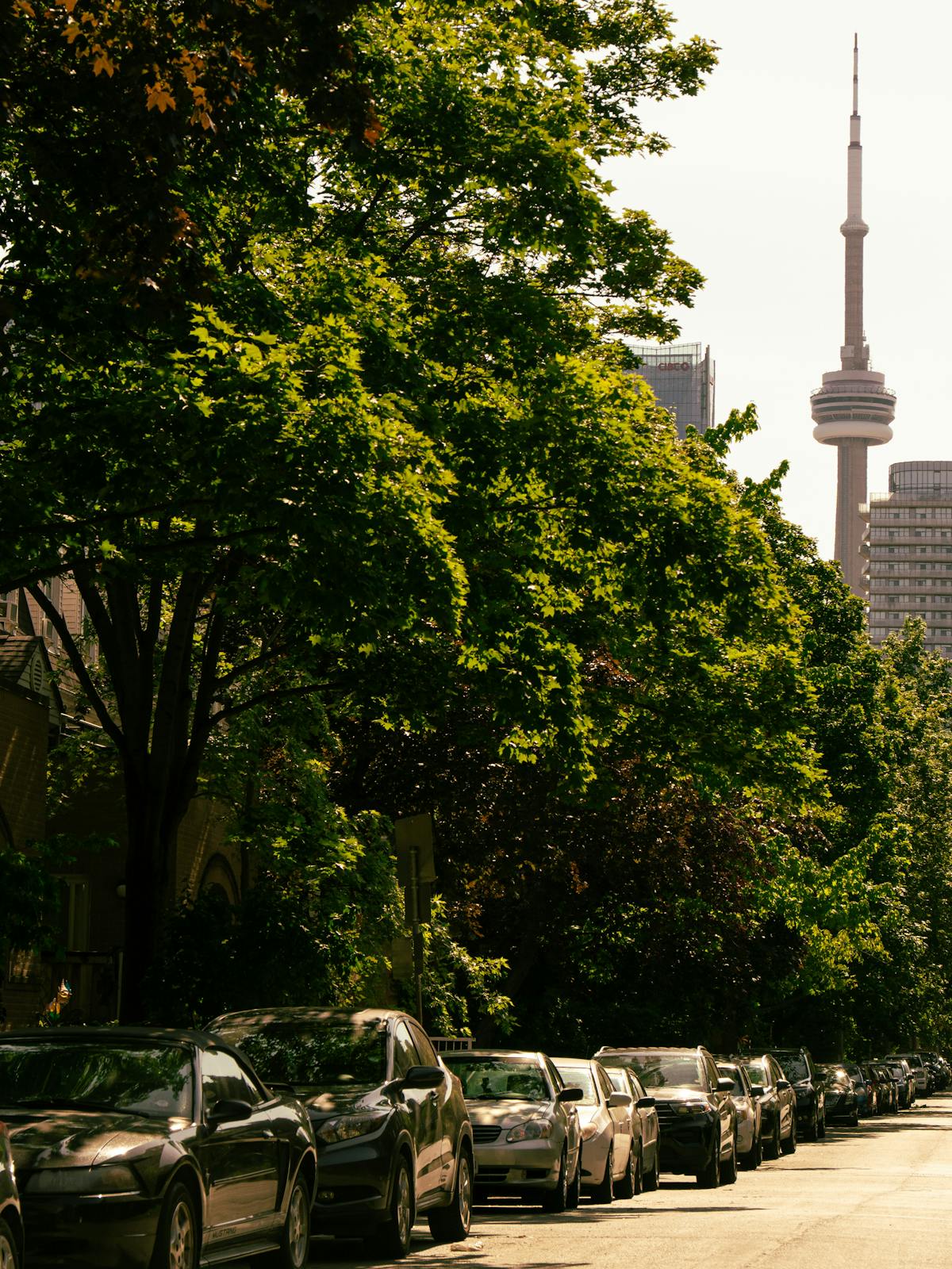 Downtown Toronto street scene with the CN Tower in view