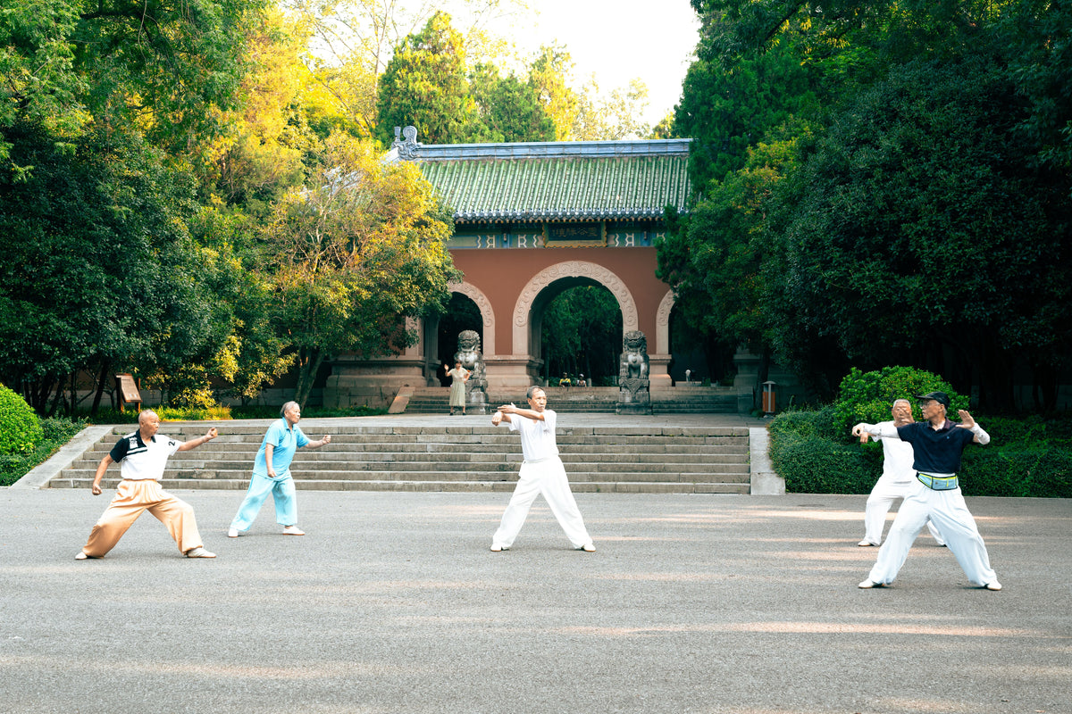 A group of people practising tai chi outdoors in a lush green park setting