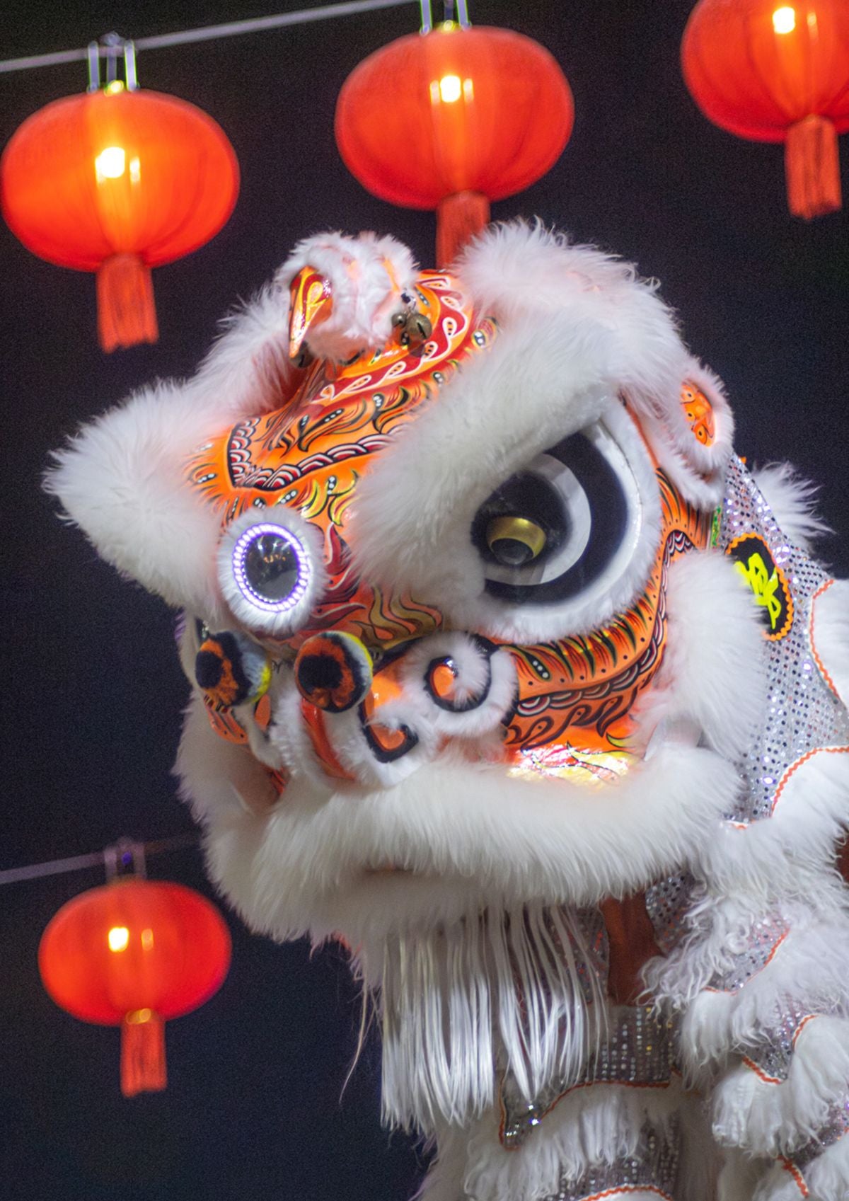 Vibrant Chinese lion dance performance with red lanterns