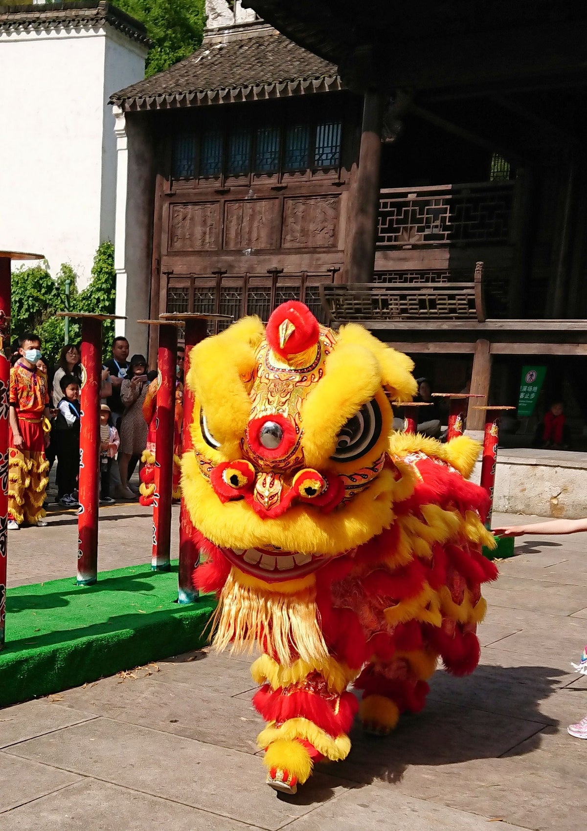 Vibrant Chinese lion dance performance at an outdoor event
